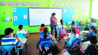 Crearán programa de formación permanente.