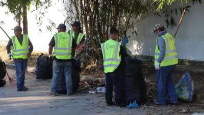 Lavaron, limpiaron, podaron, chapearon y pintaron en el parque de Las Palmas.
