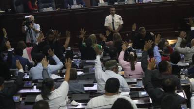 Los diputados de la bancada de Libre votaron a favor.