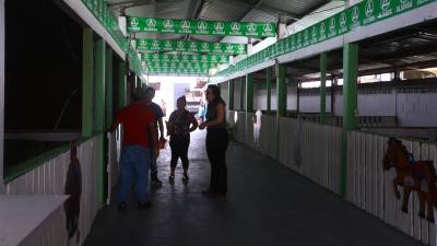 Los portones del Campo Agas, ubicado en el bulevar del sur, abrieron este viernes 21 de junio a las 10:00 am para dar inicio a la 56 exposición ganadera, agrícola, comercial e industrial.