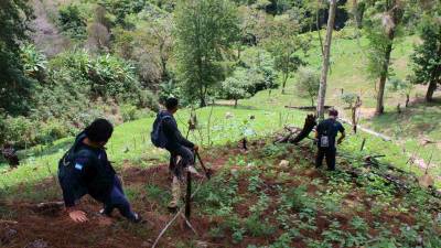 En los próximos años se espera poder aumentar la vigilancia progresivamente.