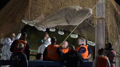 La ballena fue rescatada en una compleja operación que requirió el apoyo de varios buzos y decenas de rescatistas en el río Sena.