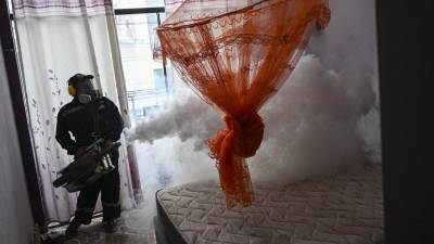 El Gobierno de Arévalo declaró una alerta epidemiológica nacional por el dengue.