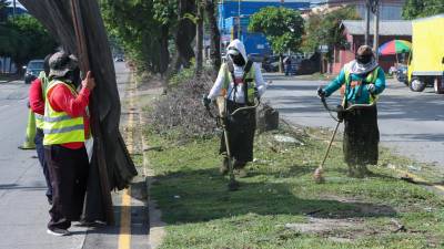 Las cuadrillas del programa ciudad limpia trabajan podando. Los sampedranos piden a la alcaldía no dejar tirada las ramas en las medianas como ha venido ocurriendo y se muestra en la gráfica.