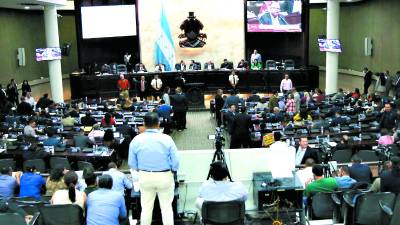 <b>Hasta la primera semana de septiembre, cuando el pleno actual del CNE este a días devacar en sus funciones, el Congreso retomará la discusión del polémico artículo.</b>