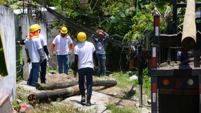<b><span class=mln_uppercase_mln>Labor.</span></b> Cuadrillas de la estatal cambian poste dañado.