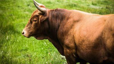 El fatal incidente ocurrió en Catacamas, Olancho (Honduras).