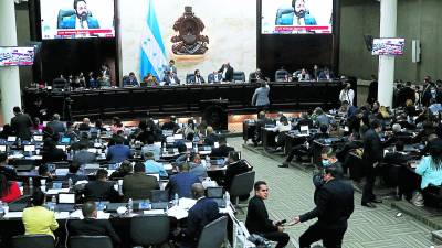 Anuncian que entregarán observaciones.