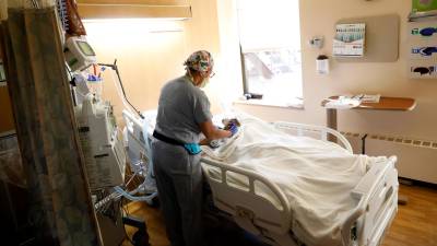 Costa Rica confirmó siete infecciones por gusano barrenador.