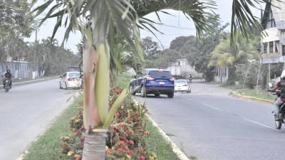 Son 3.3 kilómetros que incluye la prolongación del bulevar del Este en La Ceiba, obra de gran prioridad para aliviar el tránsito vehicular en esta zona de La Ceiba.