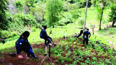 Solo en remodelaciones de sede se invierten L1.7 millones.