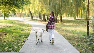 Actívese: La Organización Mundial de la Salud (OMS) recomienda caminar al menos 30 minutos diarios. Salir con su mascota puede ser una opción divertida.
