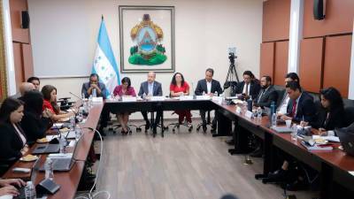 <b><span class=mln_uppercase_mln>Jornada.</span></b> Ayer fue el segundo día de socialización de la ley.