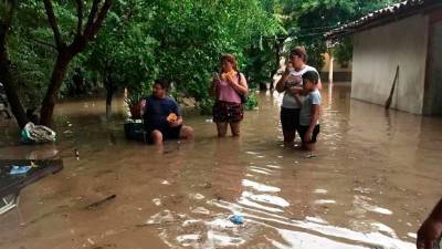 En la comunidad de El Cubulero, en la zona sur de Honduras, los habitantes enfrentan serias dificultades, con el agua alcanzando el nivel de las rodillas debido a las constantes lluvias que han azotado la zona.