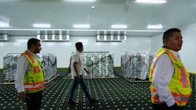 Así luce en su interior, los nuevos cuartos fríos para productos de exportación.