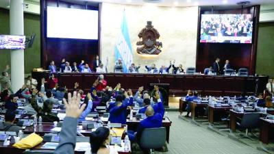 <b>Además de los 300,000 lempiras que manejan en subvenciones, los diputados reciben en mayo otra regalía bajo la justificación de ayuda social para el Día de la Madre.</b>