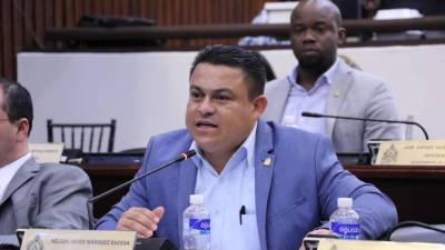 Nelson Márquez es el subjefe de la bancada de diputados del Partido Nacional de Honduras.