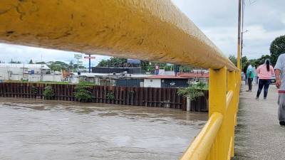 Los niveles del río Chamelecón por el puente Melgar Castro de La Lima, Cortés, se mantienen elevados.