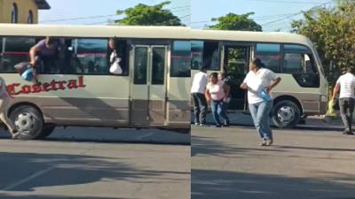 Video del momento en que asaltante mata a un ayudante de bus