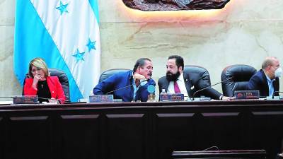 <b>Carlos Zelaya junto a Luis Redondo en una sesión en el Congreso Nacional.</b>