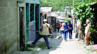 La fumigación es clave para la eliminación del zancudo transmisor del dengue. Sin embargo, también es importante que los habitantes de barrios y colonias eviten la proliferación del vector en aguas estancadas, pilas u objetos de almacenaje.