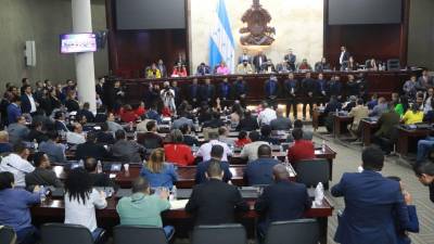 El llamado desde diversos sectores a los diputados del Congreso es que dejen a un lado intereses partidarios