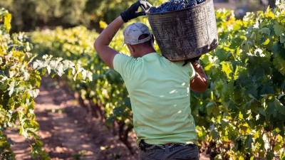 La reforma a la ley de extranjería refuerza la protección para los trabajadores de temporada y mejora la reagrupación familiar.