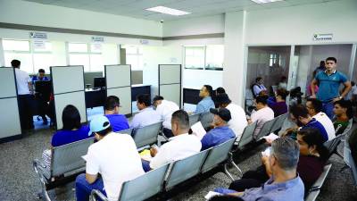 Son más de 300 conductores que llegan a diario a las oficinas de Tránsito a realizar el trámite para obtener la licencia digital. Foto: Yoseph Amaya