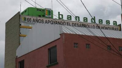 Los productores argumentan que el cierre de Banadesa sería un duro golpe al sector agrícola.