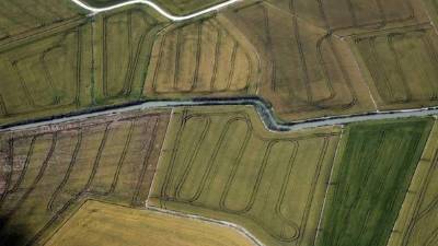 Un equipo de investigadores chinos ha descubierto un nuevo medicamento a base de fungicida para combatir el cáncer de hígado. EFE/Archivo