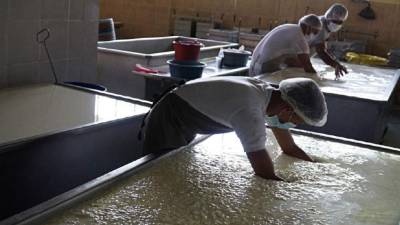 Asociación de ganaderos asegura que pérdidas ya suman 240 millones en dos meses.