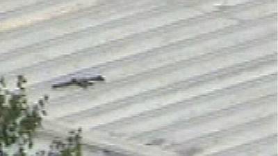 El fusil AR-15 quedó al lado del cuerpo sin vida del joven Thomas Crooks, quien fue abatido por francotiradores del Servicio Secreto.