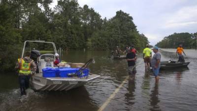 Voluntarios y rescatistas en labores de rescate tras el paso de Imelda en Beaumont, Texas. Fotos: AFP