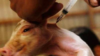 El congreso se inaugurará con una conferencia del Premio Nobel de Medicina 1993, el británico Richard J. Roberts.