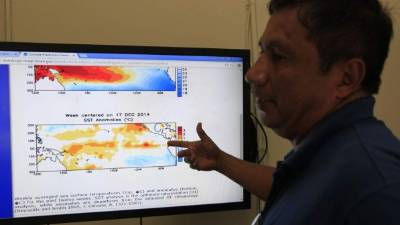 Francisco Argeñal, experto de Copeco.