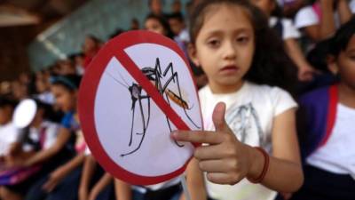 Niños de escuelas en Tegucigalpa le declaran la guerra al zika.