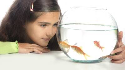 Si necesita asesoramiento llame a la tienda Mascotas al número 2552-7424 y 3334-3508.