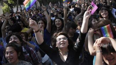 El proyecto estaba en trámite legislativo desde octubre de 2013, pero en la práctica permaneció paralizado desde el 2015 hasta junio del 2018, cuando el Gobierno de Sebastián Piñera reactivó su tramitación. Foto: EFE/Archivo