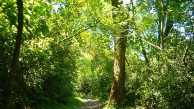 Delegados de casi 200 países participan en una conferencia climática organizada por Naciones Unidas.