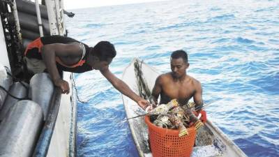 Más de 100 buzos misquitos han muerto en los últimos ocho años.
