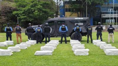 El operativo de incautación fue ejecutado en una finca de la aldea El Frisco Dos, municipio de San Francisco, Atlántida.