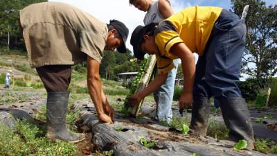 Los campesinos forman parte del sector que recibe el sueldo base más bajo.