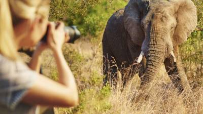 A stray dog feeds her puppies during a government-imposed nationwide lockdown as a preventive measure against the COVID-19 coronavirus in Srinagar on March 26, 2020. (Photo by Tauseef MUSTAFA / AFP)