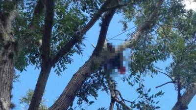 Erick Javier Sánchez (23) murió al instante al tocar el cableado eléctrico.