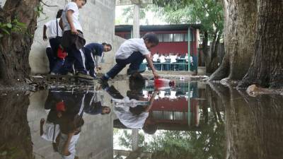 El predio se inunda con la lluvia. Foto: Amílcar Izaguirre.