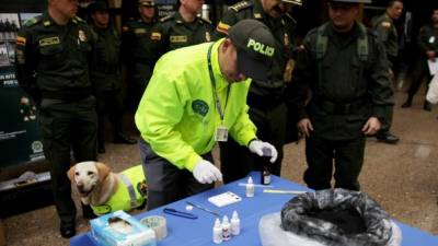 La policía colombiana descubrió el cargamento de cocaína tras recibir una alerta de las autoridades del aeropuerto de Bogotá.