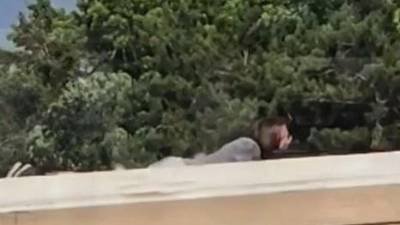 Thomas Crooks fue abatido por un francotirador del Servicio Secreto tras disparar contra Donald Trump.