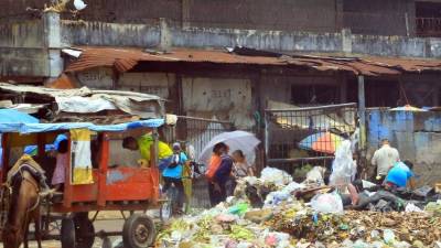 La recolección actual no es la mejor.