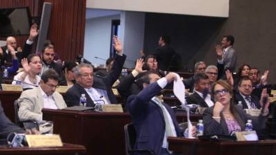 La Comisión de Género del Congreso Nacional, el Ministerio Público y las organizaciones de mujeres revisarán la legislación.