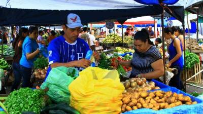 Clientes escogen verduras en un mercado sampedrano. En el reporte se evalúa la regulación de los negocios.